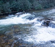 United States Georgia Dahlonega vacation rental compare prices direct by owner 860213