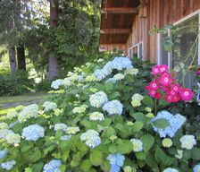 United States Washington Forks vacation rental compare prices direct by owner 1427140