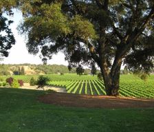 United States California Healdsburg vacation rental compare prices direct by owner 540299