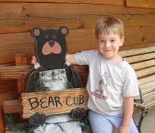 United States Tennessee Sevierville vacation rental compare prices direct by owner 426429