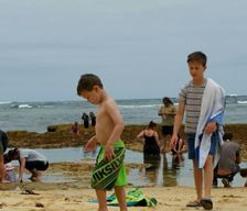 Australia VIC Peterborough Vic vacation rental compare prices direct by owner 6749603
