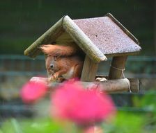 Netherlands North Brabant Eersel vacation rental compare prices direct by owner 6614669