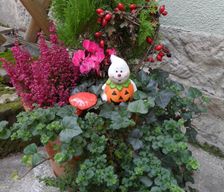 Germany Rhineland-Palatinate Bad Schandau vacation rental compare prices direct by owner 23714285