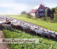 Germany Lüneburger Heide Neu-Bleckede vacation rental compare prices direct by owner 4620990