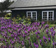 Australia VIC Merricks vacation rental compare prices direct by owner 6675042