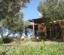 Italy Sardinia cabras vacation rental compare prices direct by owner 9862066