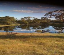 Australia SA Springton vacation rental compare prices direct by owner 6591218