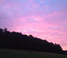 Germany SN Bad Gottleuba-Berggießhübel vacation rental compare prices direct by owner 4480330