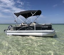 United States Florida New Port Richey vacation rental compare prices direct by owner 494447