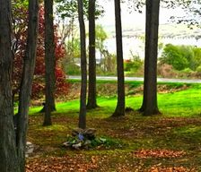 United States New York Canandaigua vacation rental compare prices direct by owner 335370