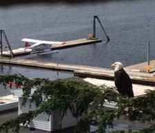 United States Alaska Ketchikan vacation rental compare prices direct by owner 2989435