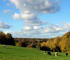 France Normandie Valorbiquet vacation rental compare prices direct by owner 4526346