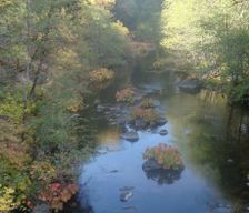 United States California Forest Ranch vacation rental compare prices direct by owner 530155