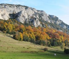 France Auvergne-Rhône-Alpes Gigors-Et-Lozeron vacation rental compare prices direct by owner 4003644