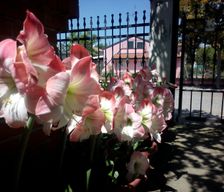 Italy Emilia-Romagna San Mauro A Mare vacation rental compare prices direct by owner 5035868