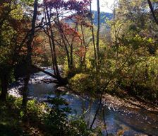 United States North Carolina Otto vacation rental compare prices direct by owner 1996518