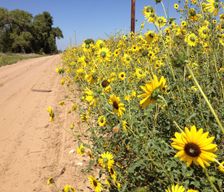 United States Kansas Buhler vacation rental compare prices direct by owner 347285