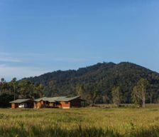 Australia QLD Bloomfield vacation rental compare prices direct by owner 6570819