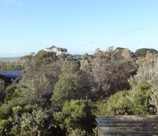 Australia VIC Venus Bay vacation rental compare prices direct by owner 5739447