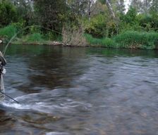 Australia NSW Bombowlee vacation rental compare prices direct by owner 6778500