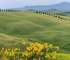 Italy Tuscany Trequanda vacation rental compare prices direct by owner 6448162