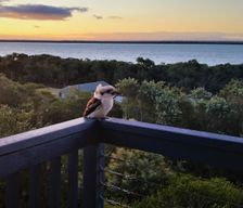 Australia VIC Loch Sport vacation rental compare prices direct by owner 6688139