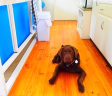 Australia SA Robe vacation rental compare prices direct by owner 5483591