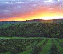 Australia NSW Coorabell vacation rental compare prices direct by owner 6730797