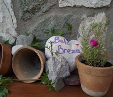 Slovenia  Recica ob Savinji vacation rental compare prices direct by owner 4028911