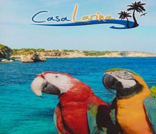 Spain PM Cala Llombards vacation rental compare prices direct by owner 4231470