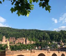 Germany  Heidelberg vacation rental compare prices direct by owner 4854537