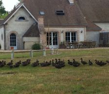 France Centre-Val De Loire Villeherviers vacation rental compare prices direct by owner 4602893