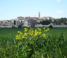 France Occitanie Saint Geniès des Mourgues vacation rental compare prices direct by owner 3885177