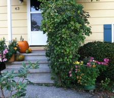 United States Vermont South Burlington vacation rental compare prices direct by owner 597831