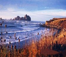 United States California Crescent City vacation rental compare prices direct by owner 1150448