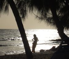 Barbados Christ Church St Lawrence Gap, Dover vacation rental compare prices direct by owner 3308443