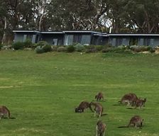 Australia SA Scott Creek vacation rental compare prices direct by owner 9489912