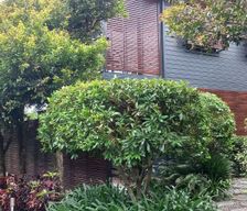 Australia QLD Tamborine Mountain vacation rental compare prices direct by owner 6174111