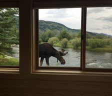 United States Wyoming Wilson vacation rental compare prices direct by owner 544853