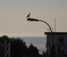 Romania Constanta Mangalia vacation rental compare prices direct by owner 6712807