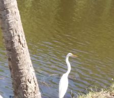 United States Florida Port Charlotte vacation rental compare prices direct by owner 180709