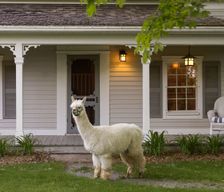 Canada Ontario Hillier vacation rental compare prices direct by owner 425742