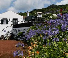 Portugal Azores 9900-301 vacation rental compare prices direct by owner 5149470