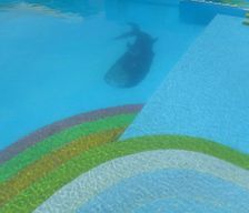 Bermuda Warwick Warwick vacation rental compare prices direct by owner 2890974
