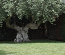 Italy Sicilia Scicli vacation rental compare prices direct by owner 6617799