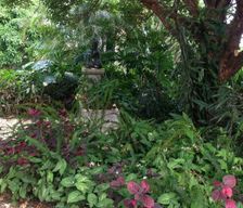 Australia QLD Maleny vacation rental compare prices direct by owner 6675613