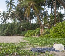 Sri Lanka WP Beruwela vacation rental compare prices direct by owner 10390741