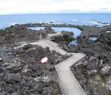 Portugal  S.Roque do Pico vacation rental compare prices direct by owner 6007899