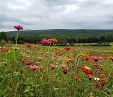 United States Pennsylvania Champion vacation rental compare prices direct by owner 1167263