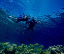Maldives North Central Province Dhangethi vacation rental compare prices direct by owner 5846478